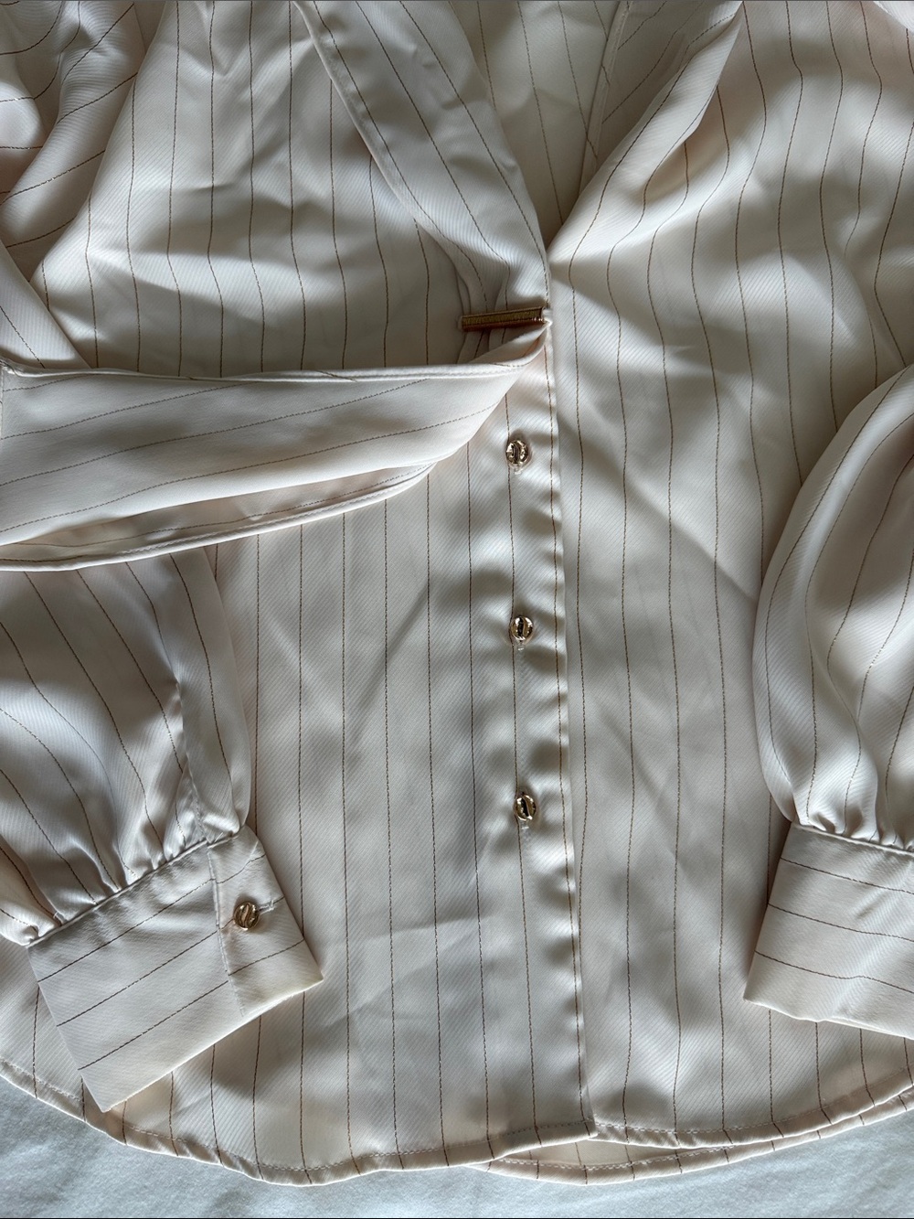 Zara Cream Satin Pinstripe Blouse - Picture 4 of 8